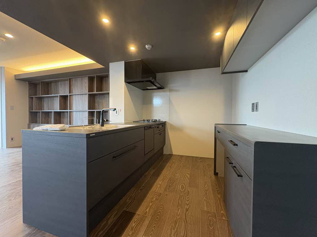 リオリエントプレミアス 0401号-3