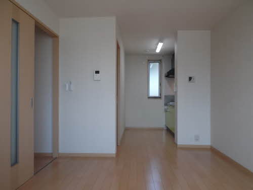 リジュール オオタ C113号-3