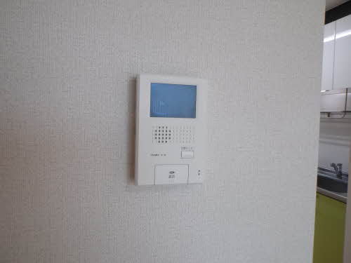 リジュール オオタ C113号-7