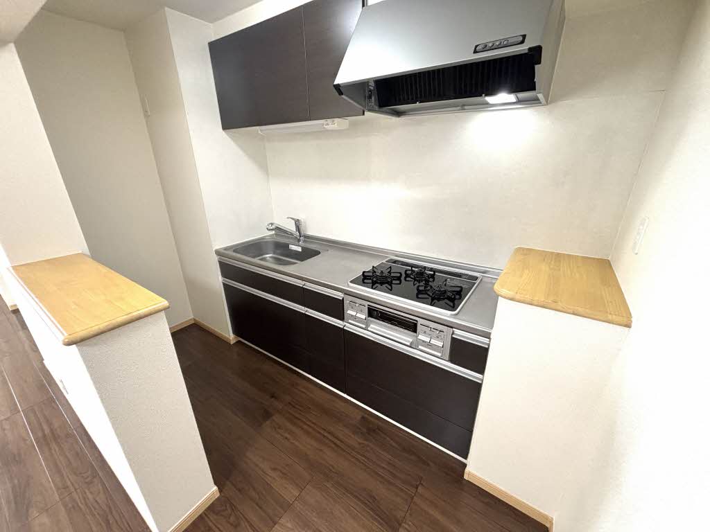 ヒルズ桜坂 101号-3