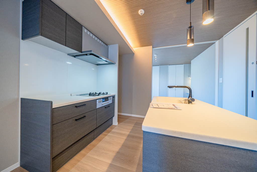 シャーメゾンソフィア南 0203号-5