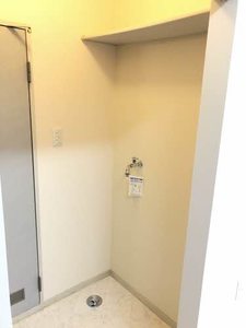 ＳｈｉｎｉｎｇＳｔａｒ 0203号-8