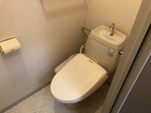 ＳｈｉｎｉｎｇＳｔａｒ 0203号-10