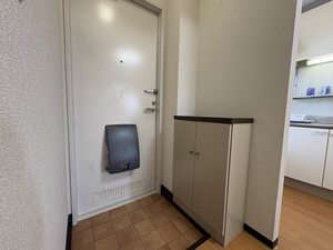 ＭＡＰＬＥＴＯＷＮ　ＰＩＮＯ A201号-10