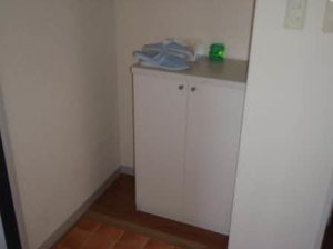 フレグランス飯島 A201号-5