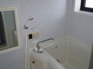 フレグランス飯島 A201号-10