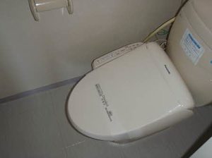 フレグランス飯島 A201号-11