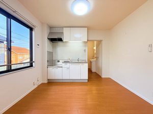 ディアスサフラン B201号-3