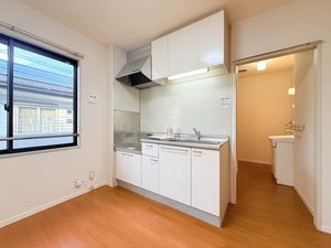 ディアスサフラン B201号-4