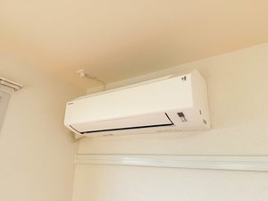 ディアスサフラン B201号-13