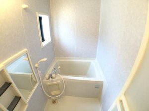 フォレスト２１ C101号-8