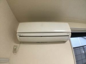プラムハウス 0101号-3