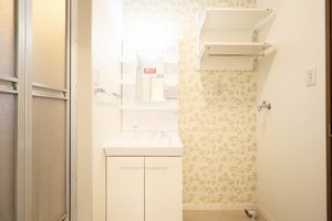 セフィラテラモト B202号-5