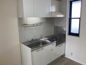 メゾンエスプリ 0203号-8