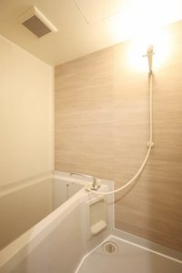 メゾンシャルマン 0105号-5