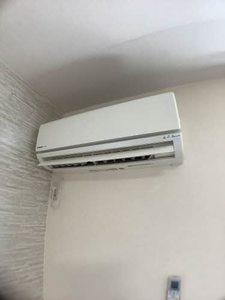 Liskamm A201号-11
