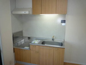 ハイネス２１ B202号-9