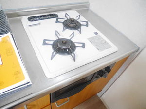 ラフィーネ和 D105号-11