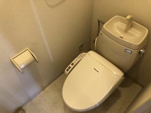 グラシオ　アエベ A202号-3