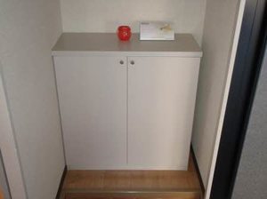 フレグランスマロニエ A101号-3