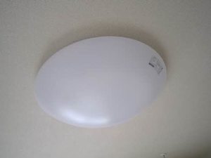 ＤＩＡＳ　Ｌｉｖｅ 0203号-2