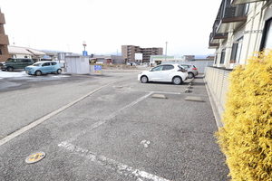 ＤＩＡＳ　Ｌｉｖｅ 0203号-12