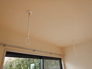 Forest Park A101号-9