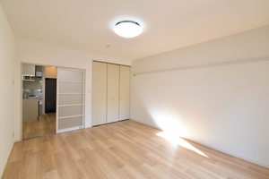 グレイスハイム 0101号-3