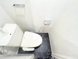 ディアスブリッツァ B102号-11