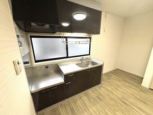 ディアスブリッツァ B202号-3