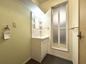 ディアスブリッツァ B202号-11