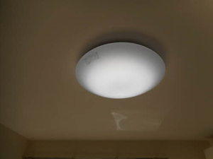 ハイブリッジ西原 A101号-10