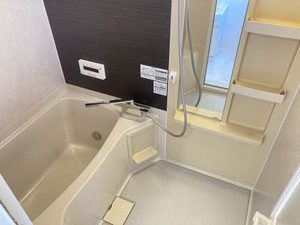 ディアスシリウス A105号-9