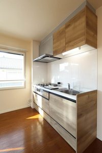 パラレルハウス D201号-7