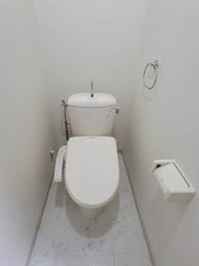 フェアリーミサキ A102号-9