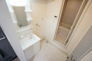 ノーザンライトハイツ A201号-7