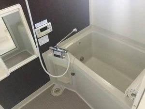 ディアスフェリセス B202号-8