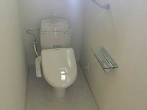 ディアスフェリセス B202号-9