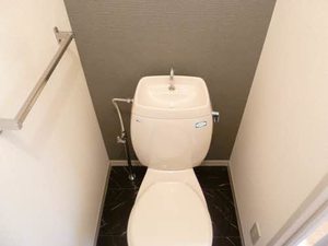 アネックスヒロセ A201号-9