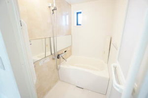 ディアスＫⅡ 0202号-12