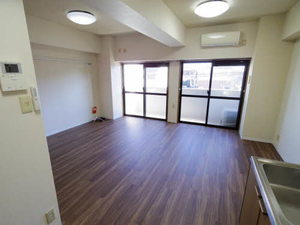 クリスタルハイツ 0203号-2