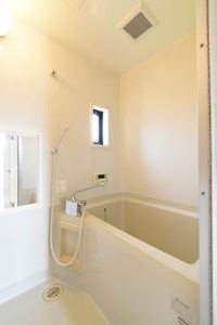 ベルトゥリー寺島 0201号-9