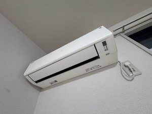 ドエルフォルテ 0101号-5