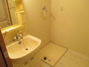 キャッスルサイド丹羽 0101号-4