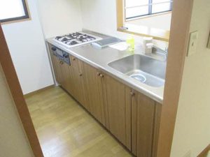 キャッスルサイド丹羽 0101号-10