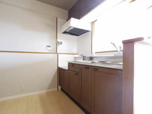 シャトー瑞穂ケ丘 1002号-11