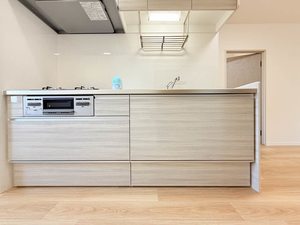 ディアス柏王 B102号-1