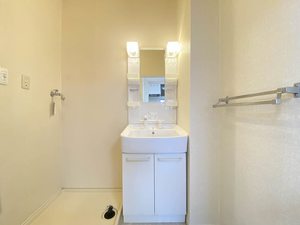 ＭａｓｔＴｏｗｎ細口 C102号-6