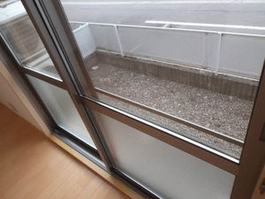 パストラルキノシタⅡ A102号-5