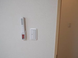 パストラルキノシタⅡ A102号-10